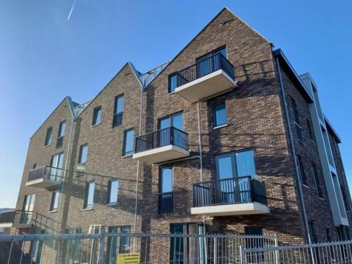 PHOTO-2021-01-12-14-44-34 5