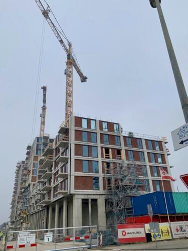 WhatsApp Image 2021-03-03 at 12.23.33 (1)